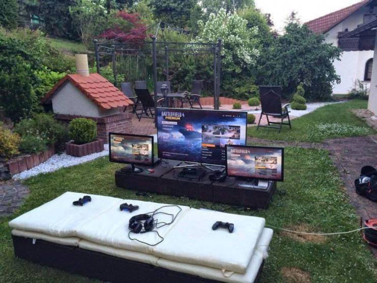 Daily Picdump