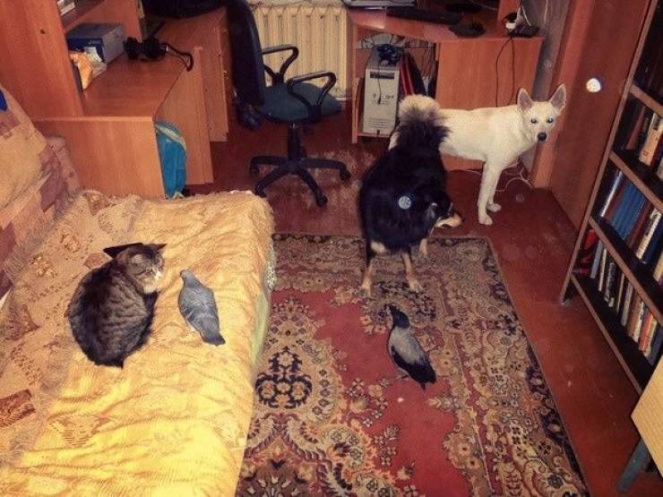 daily picdump 96 pics 12.html - 96 HD Photos | Premium Gallery 2019
