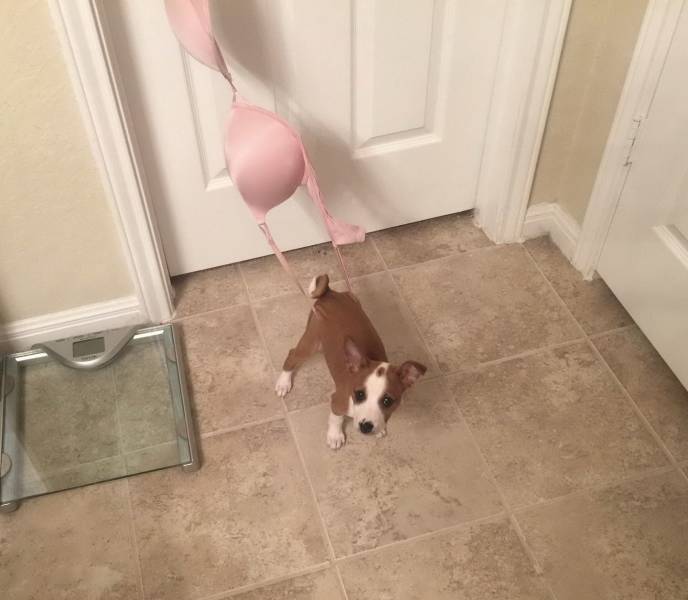 daily picdump 96 pics 12.html - 96 HD Photos | Premium Gallery 2019