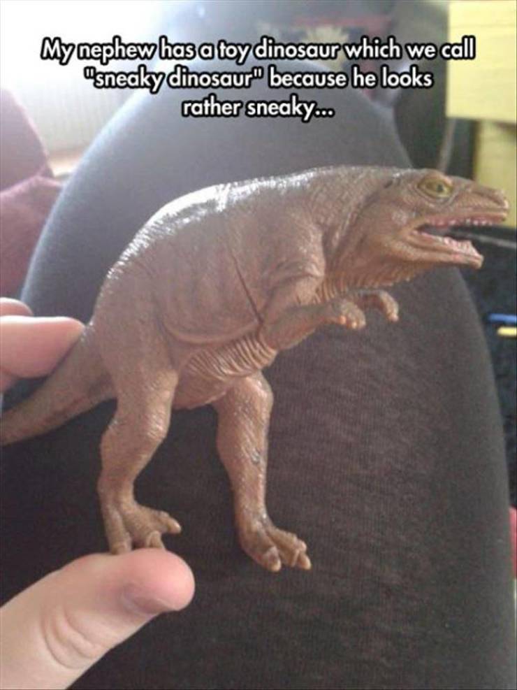 daily picdump 96 pics 12.html - 96 HD Photos | Premium Gallery 2019