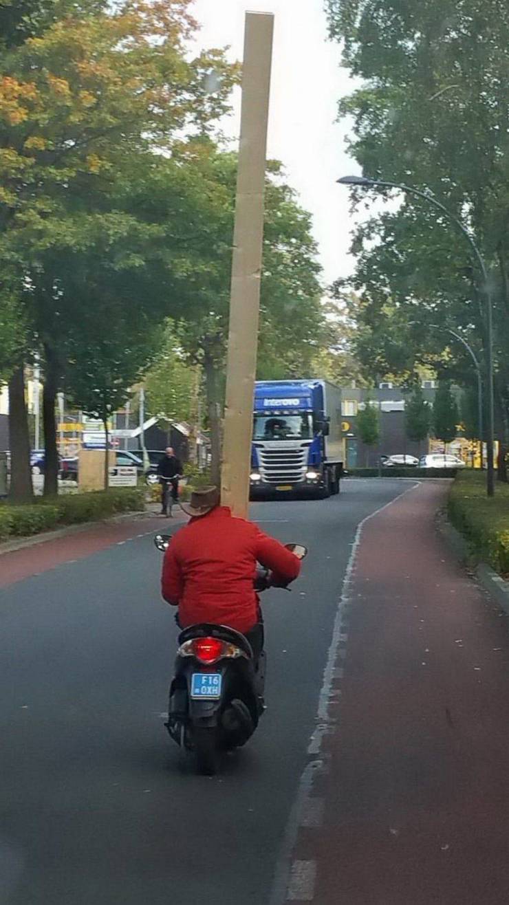 daily picdump 96 pics 12.html - 96 HD Photos | Premium Gallery 2019
