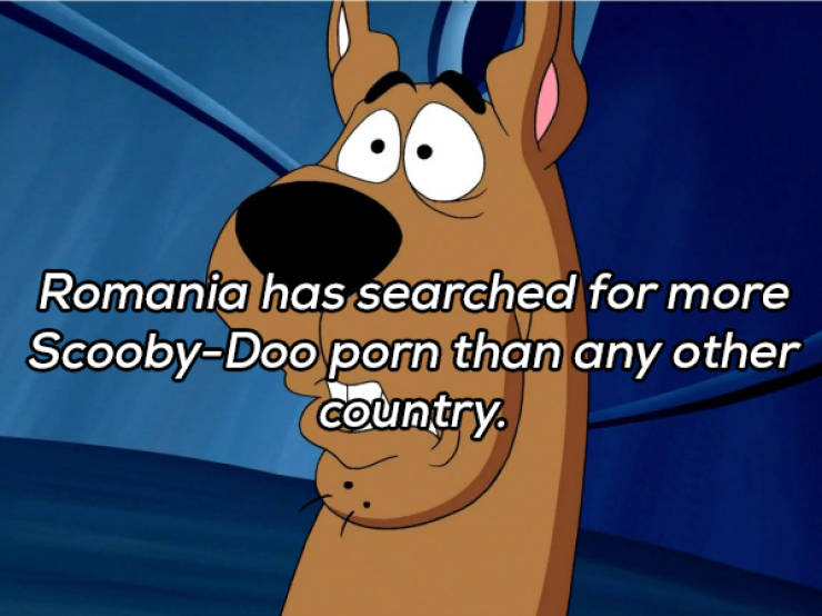 It’s Always Time For NSFW Facts!