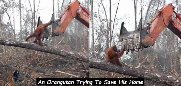 top 750 daily pics of the year 2019.html - 1 HD Photos | Premium Gallery 2019