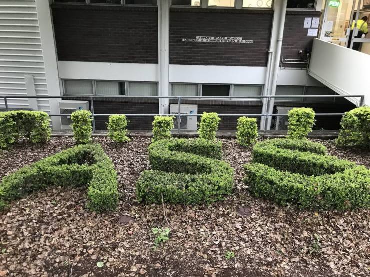 Dirty Mind, Come Here!