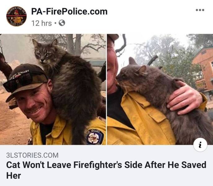 page,17,top 750 daily pics of the year 2019.html - 1 HD Photos | Premium Gallery 2019