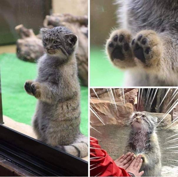 page,10,top 750 daily pics of the year 2019.html - 1 HD Photos | Premium Gallery 2019