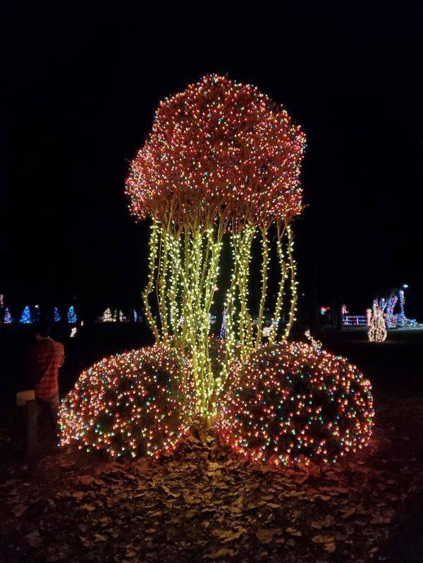 Dirty Mind, Come Here!