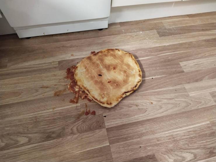 daily picdump 98 pics 7.html - 98 HD Photos | Premium Gallery 2019