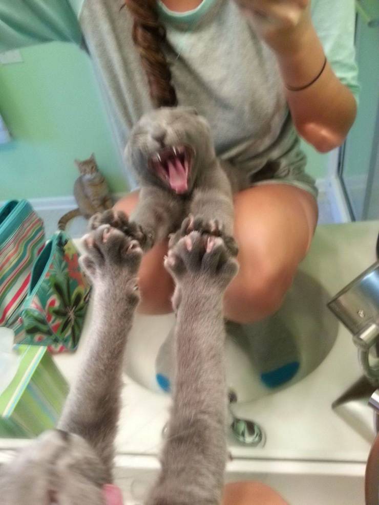 daily picdump 98 pics 7.html - 98 HD Photos | Premium Gallery 2019