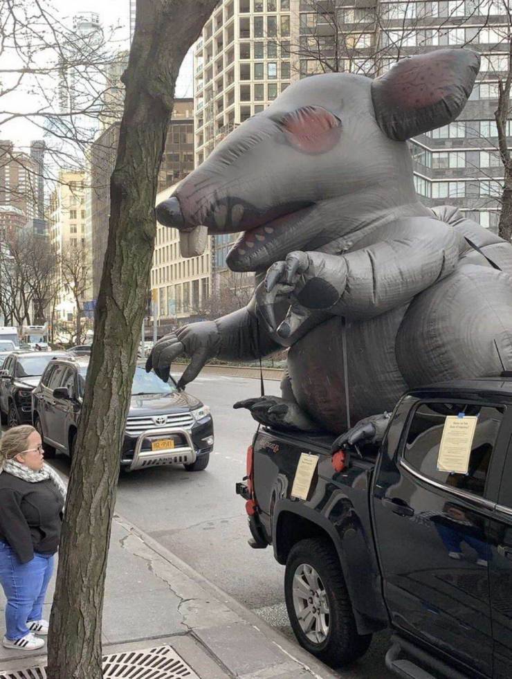 daily picdump 98 pics 7.html - 98 HD Photos | Premium Gallery 2019