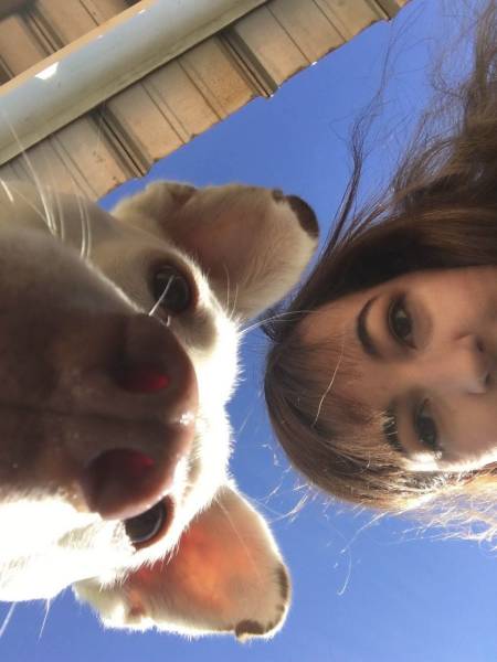 page,30,top 750 daily pics of the year 2019.html - 1 HD Photos | Premium Gallery 2019