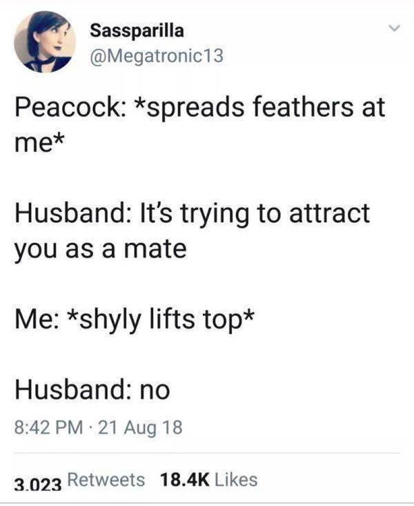 Dirty Mind, Come Here!