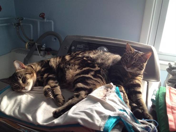 Perspective Can Deceive You