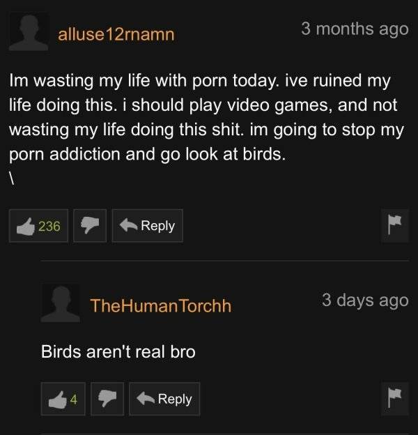 Pornhub’s Comment Section Is A Wild Ride!