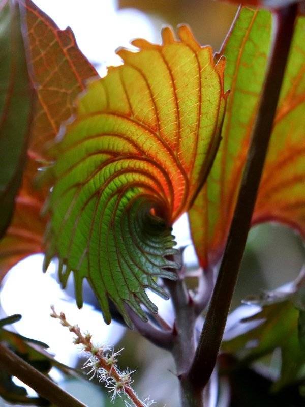 You WILL Be Satisfied!