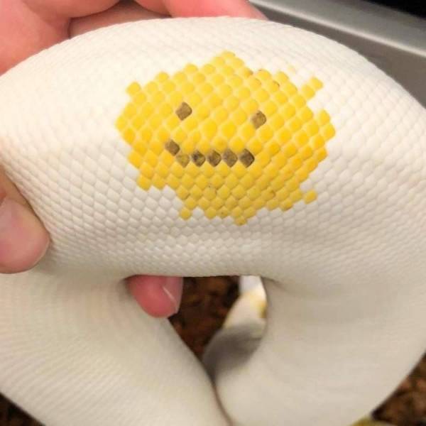 daily picdump 96 pics 18.html - 96 HD Photos | Premium Gallery 2020