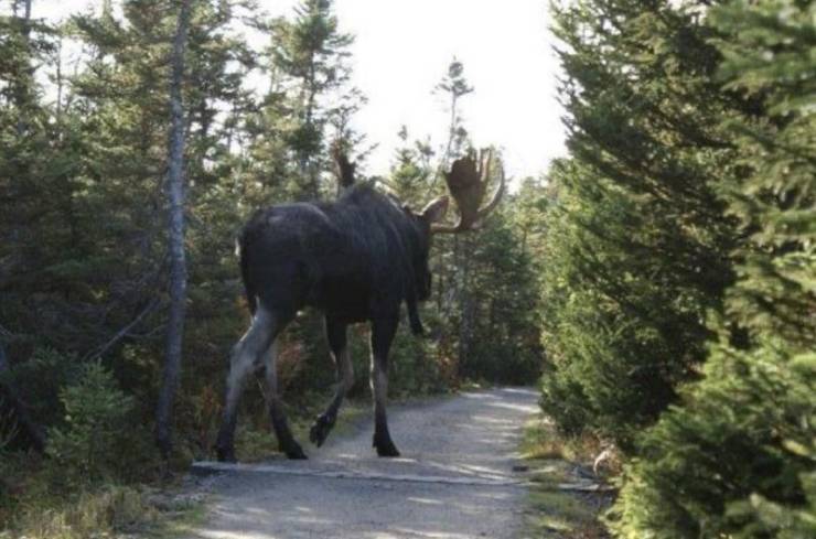 daily picdump 96 pics 18.html - 96 HD Photos | Premium Gallery 2020