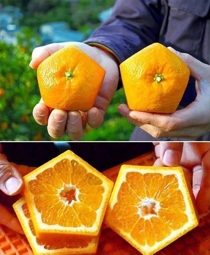 daily picdump 96 pics 18.html - 96 HD Photos | Premium Gallery 2020