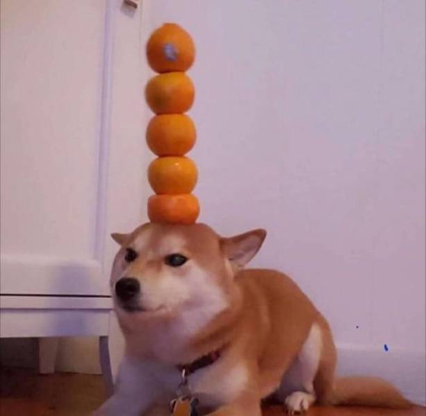 daily picdump 89 pics 32.html - 89 HD Photos | Premium Gallery 2020