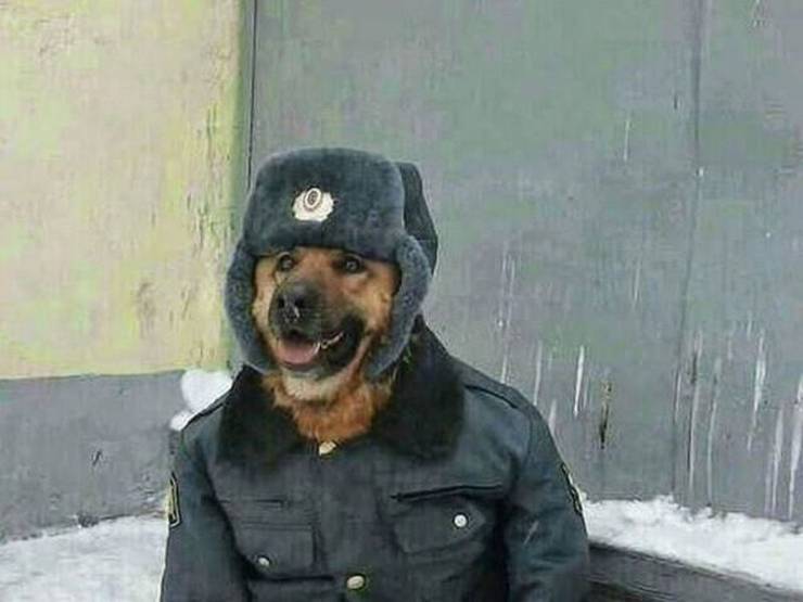 daily picdump 89 pics 32.html - 89 HD Photos | Premium Gallery 2020