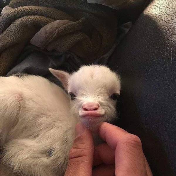 daily picdump 89 pics 32.html - 89 HD Photos | Premium Gallery 2020