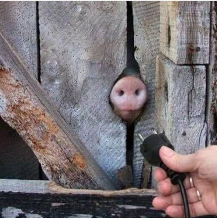daily picdump 89 pics 32.html - 89 HD Photos | Premium Gallery 2020