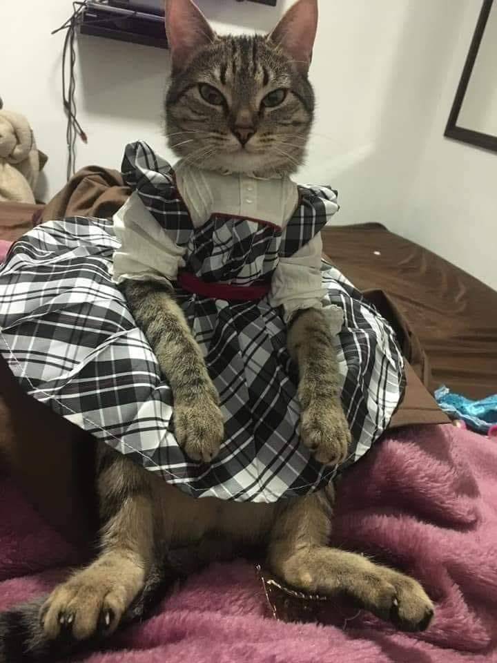 daily picdump 89 pics 32.html - 89 HD Photos | Premium Gallery 2020