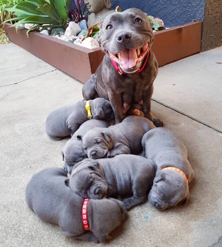 daily picdump 89 pics 32.html - 89 HD Photos | Premium Gallery 2020
