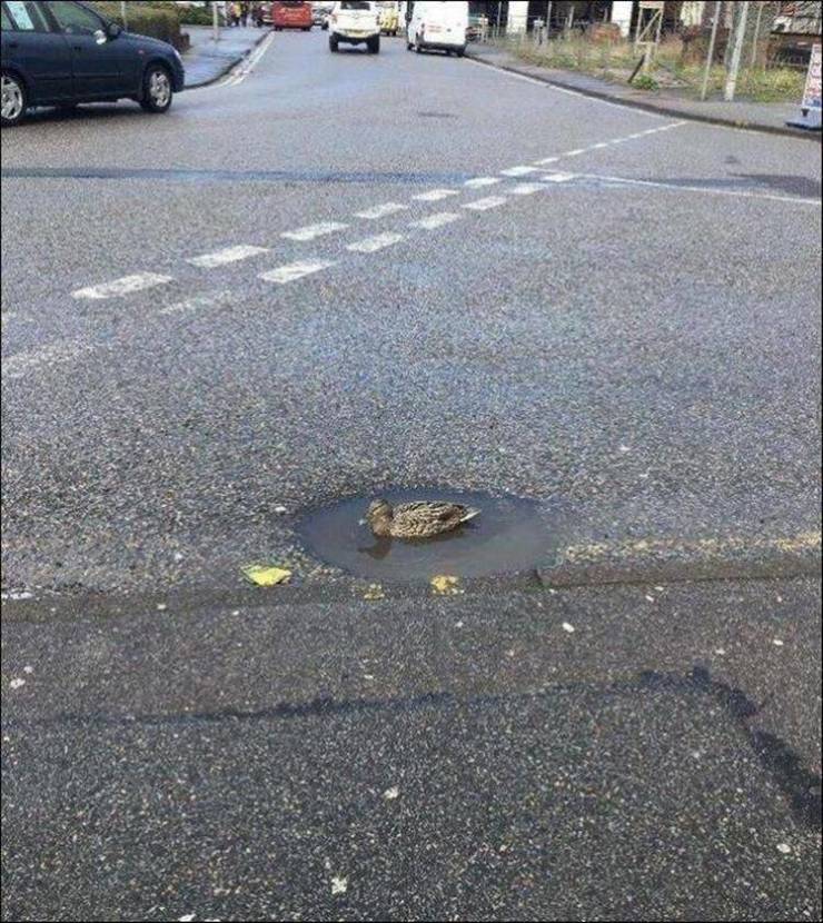daily picdump 89 pics 32.html - 89 HD Photos | Premium Gallery 2020