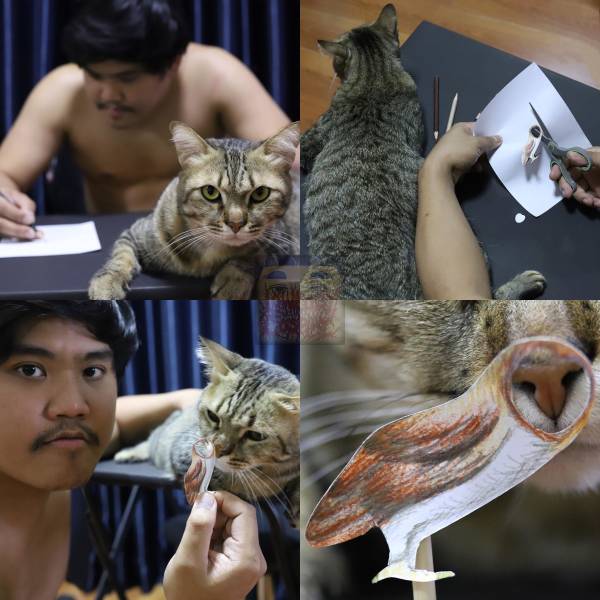 funny picdump 52 pics 3.html - 52 HD Photos | Premium Gallery 2020