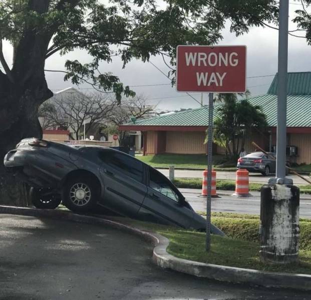 funny picdump 52 pics 3.html - 52 HD Photos | Premium Gallery 2020