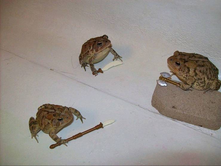 daily picdump 95 pics 13.html - 95 HD Photos | Premium Gallery 2020