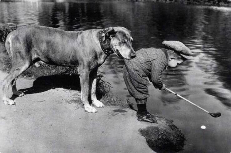 daily picdump 95 pics 13.html - 95 HD Photos | Premium Gallery 2020