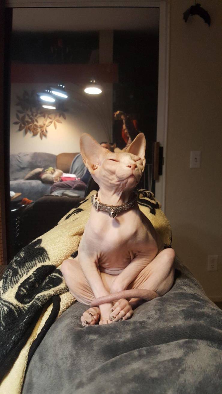 daily picdump 95 pics 13.html - 95 HD Photos | Premium Gallery 2020