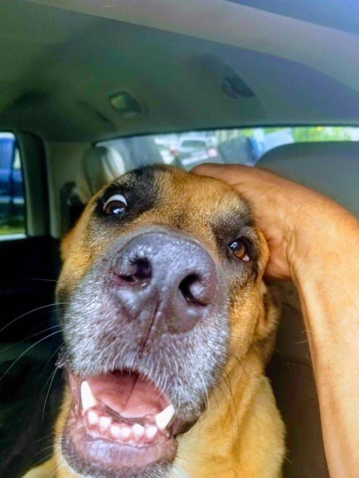 daily picdump 95 pics 13.html - 95 HD Photos | Premium Gallery 2020