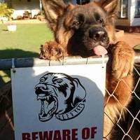 morning in miami video.html - 1 HD Video | Premium Gallery 2020