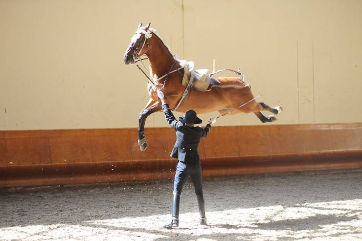 daily picdump weekend edition 75 pics 30.html - 75 HD Photos | Premium Gallery 2020