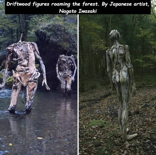 daily picdump weekend edition 75 pics 30.html - 75 HD Photos | Premium Gallery 2020