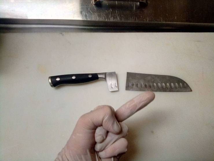 daily picdump weekend edition 75 pics 30.html - 75 HD Photos | Premium Gallery 2020