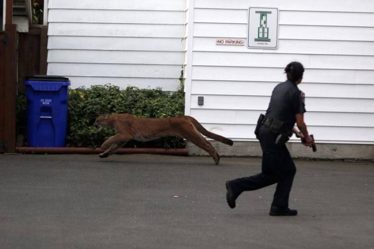 daily picdump weekend edition 75 pics 30.html - 75 HD Photos | Premium Gallery 2020