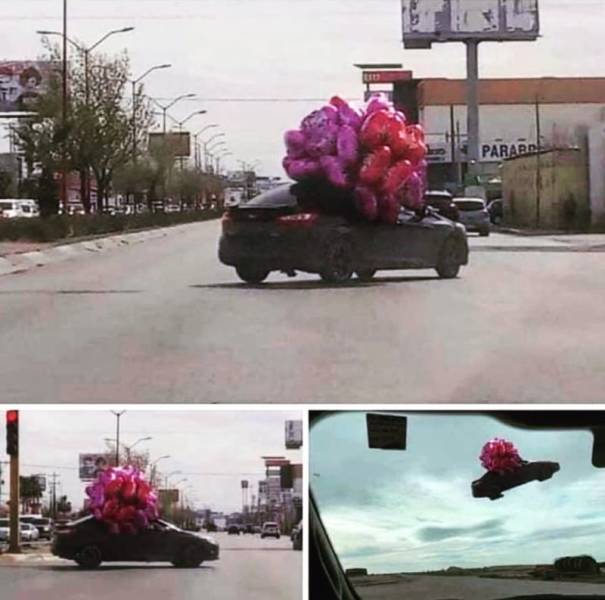 daily picdump weekend edition 75 pics 30.html - 75 HD Photos | Premium Gallery 2020
