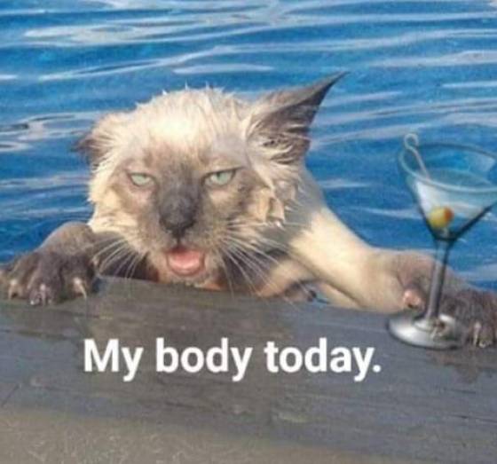 daily picdump weekend edition 75 pics 30.html - 75 HD Photos | Premium Gallery 2020