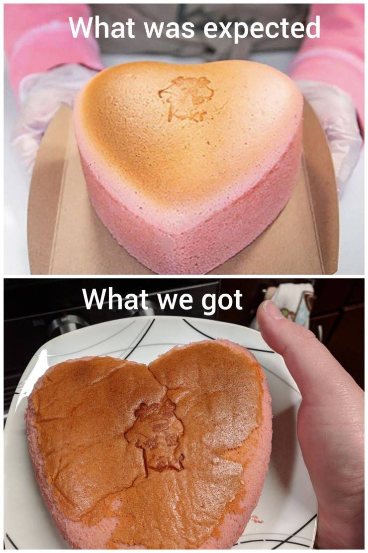 daily picdump weekend edition 75 pics 30.html - 75 HD Photos | Premium Gallery 2020