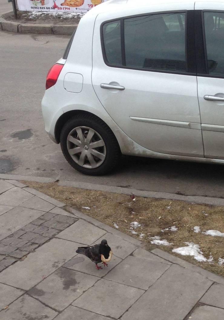 daily picdump weekend edition 75 pics 30.html - 75 HD Photos | Premium Gallery 2020