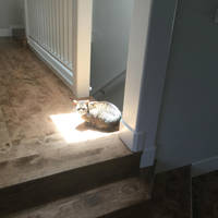 they are too hot video.html - 1 HD Video | Premium Gallery 2020