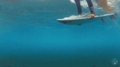 surfer girls are getting ready for the season 26 gifs 6.html - 1 HD GIF | Premium Gallery 2020
