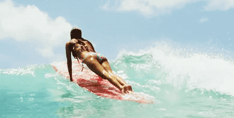 surfer girls are getting ready for the season 26 gifs 6.html - 1 HD GIF | Premium Gallery 2020