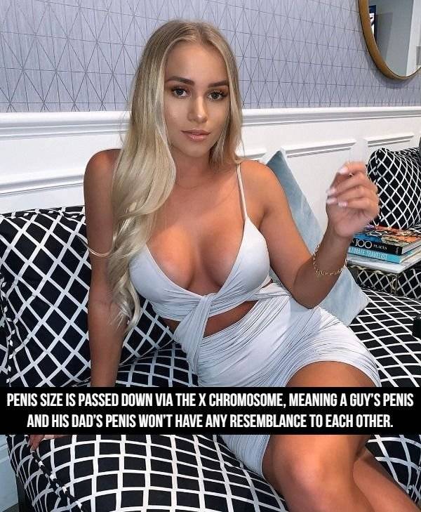 NSFW Facts, Anyone?