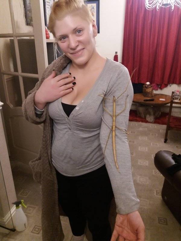 That’s A Real Big NOPE…