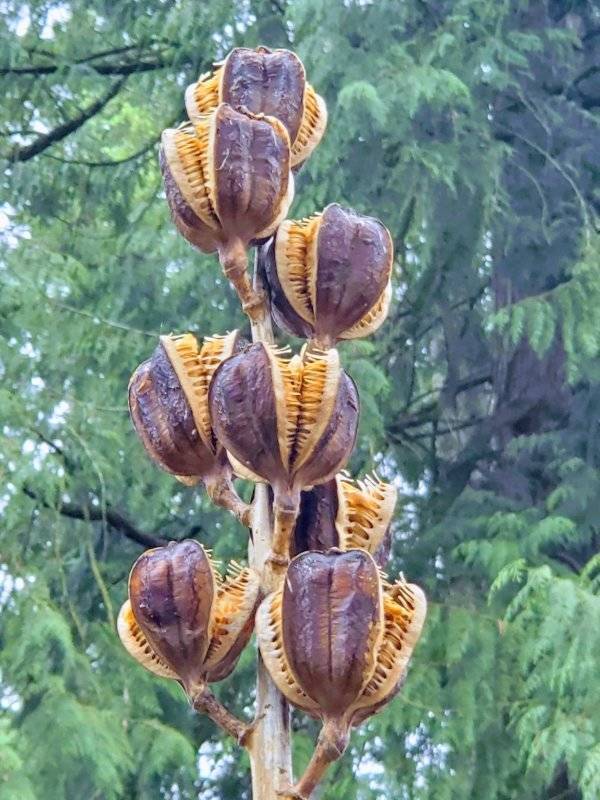 That’s A Real Big NOPE…